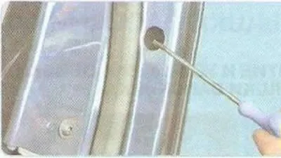 3. ...and remove the decorative plug.