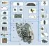 Engine management system device